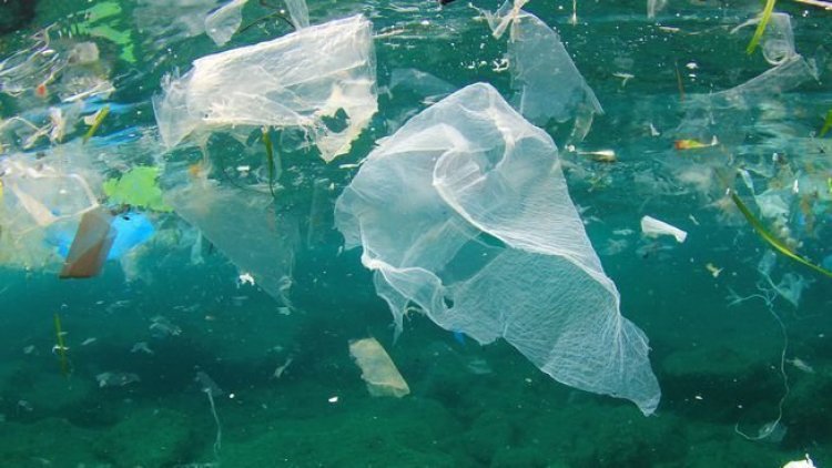 Mozambique annually discards 100,000 tonnes of plastic