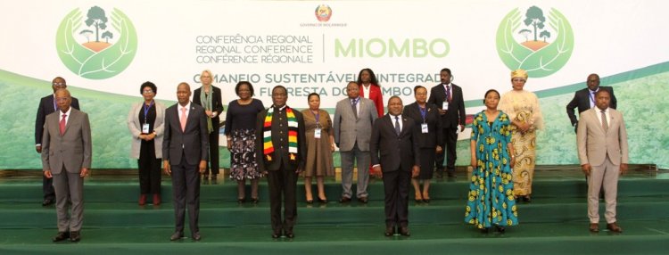 SADC adopta “Declaração de Maputo” para proteger floresta do Miombo