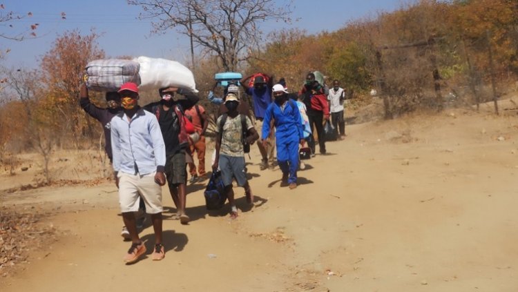 Limpopo National Park seeks 10 million euros to resettle 800 families