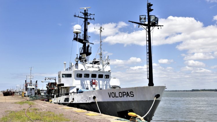 Marinheiros russos retidos sem água nem comida no porto de Maputo colocam cartaz a pedir regresso a casa