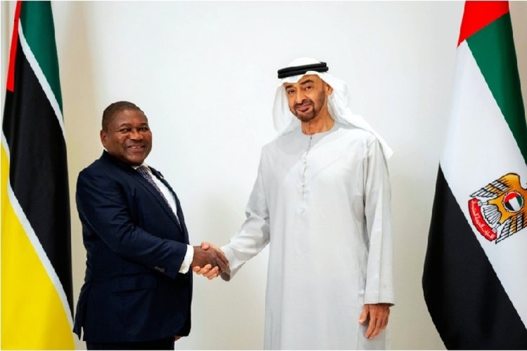 NGOs suggest Nyusi's ties with UAE royal family may have influenced Maputo Port concession extension