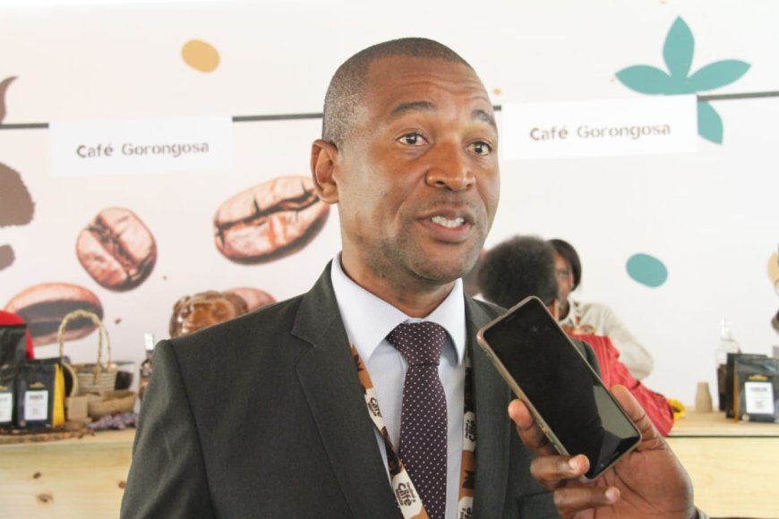 Maputo disponível para colaborar na dinamização da indústria do café e toda sua cadeia de valor