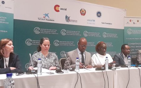 Desenvolvimento Sustentável: Maioria dos países aquém das metas globais