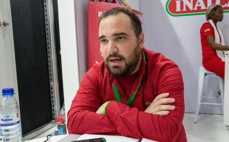 Moçambique: Empresas italianas mantêm resiliência apesar da falta de divisas no mercado