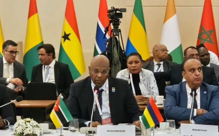 Moçambique coloca corredores logísticos nacionais na rota de investimentos turcos