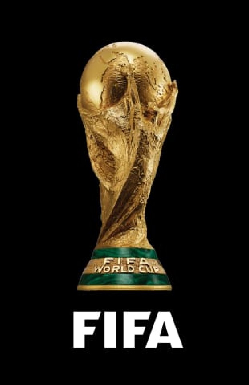 Bafana Bafana in FIFA Qualifiers