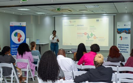 Fundação Tony Elumelu e Parceiros lançam uma plataforma para empoderamento das mulheres