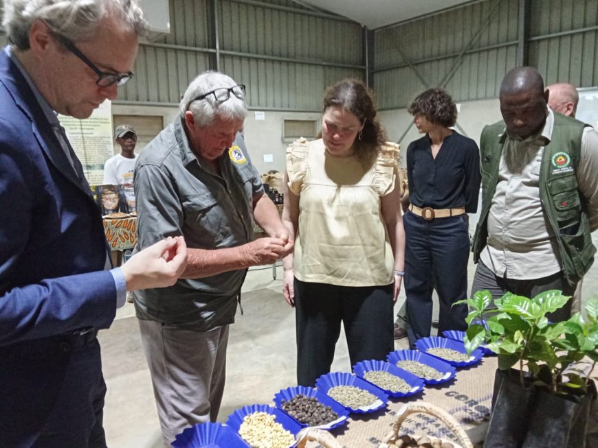 Países Baixos inauguram fábrica de café na Gorongosa