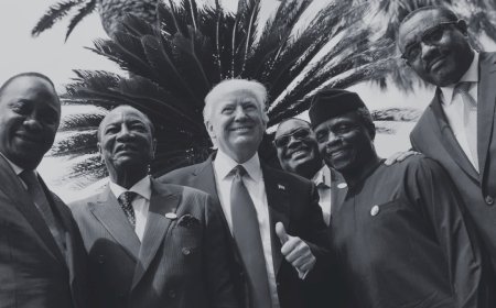 O preço da ajuda: O Governo de Trump transforma a cooperação com África num instrumento de acesso a recursos
