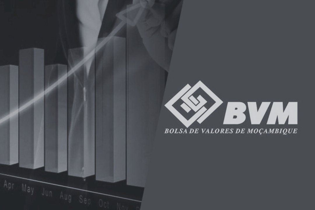 Mais anos do que emitentes: 27 anos de BVM, apenas 11 empresas