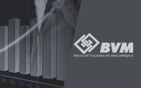 Mais anos do que emitentes: 27 anos de BVM, apenas 11 empresas